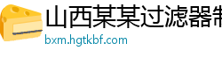 山西某某过滤器制造有限公司